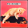 revenge!!!