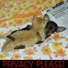 privacy please