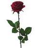A single red rose !!!